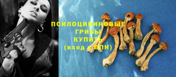 спиды Арсеньев